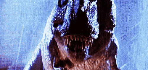 livinggaydar: thistherapylife:  bastlynn:  prettyarbitrary:  senkirowolf:  witwitch: