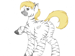 outlawmares:Zebra butt, because why not? c: