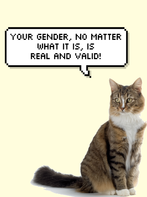 salve-terrae-magicae:some trans and nonbinary positivity cats for you!!