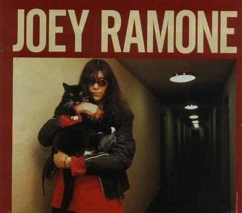 almost famous cats — joey ramone