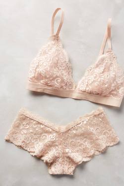 thelingerieaddict:  Les Coquines Harlow Bra