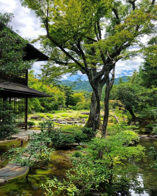 無鄰菴庭園 [ 京都市左京区 ] Murinan Garden, Kyoto #山の日 なので東山眺めに来た⛰ なお #焼鳥の日 でもあるらしいので夜は鳥貴族を所望したく。 . 元勲 #山縣有朋が “