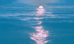 https://64.media.tumblr.com/97c3d359bfec603b200669935a673e83/tumblr_mpl143YV7a1ronvzlo1_500.gif