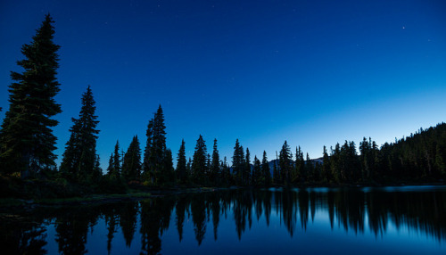 Night Sky by Bryn Tassell on Flickr.