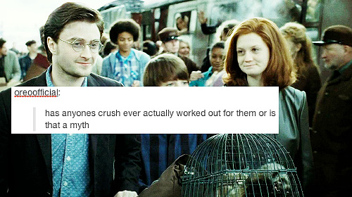 intoasylum:      harry potter | text posts