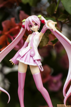 Goodsmilecompanyus:  Got To Have A Hands On Of Figure Japan’s New Sakura Miku!