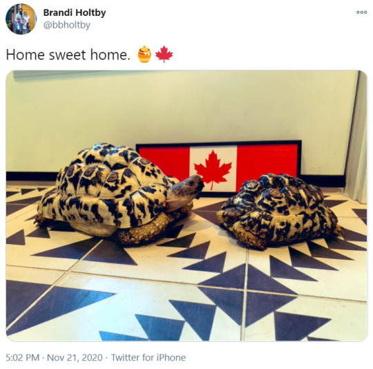 our long international nightmare is over