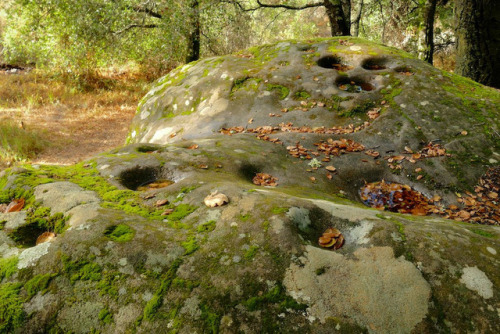 Rock with Native American bedrock mortars on top. by alice cummings