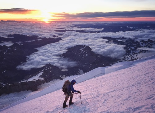 Making it to the summit of Rainier this weekend via the Emmons Glacier.