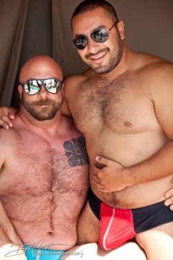 HAIRY BEARS AND SEXY MEN