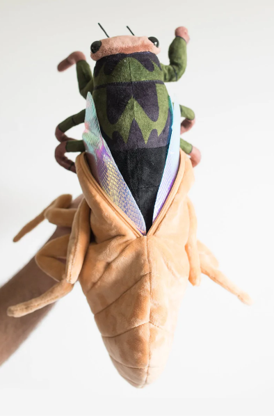 Photo of a cicada plushie, in mid-molt.