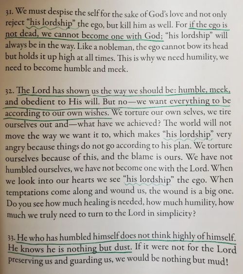 Elder Thaddeus on &ldquo;his lordship&rdquo; the ego. #orthodoxy #orthodox #easternorthodox 