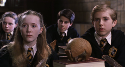 the-absolute-funniest-posts:  thatwasntaleaf-thatwaspageone: EXCUSE ME BUT WHY DOES SHE HAVE AN ARMADILLO DO THESE KIDS EVEN READ THEIR HOGWARTS LETTERS  