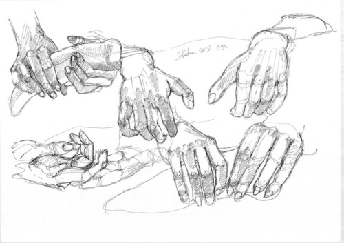 study of hands from a model carrying a pepper 