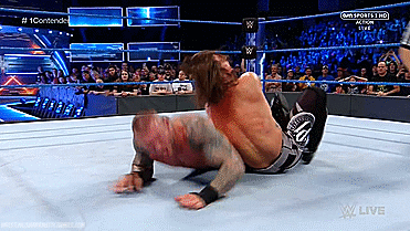 Making Wrestling Gifs Since 2016