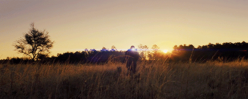 isaacoscar:  “The only thing I ever believed in was Alton.” Midnight Special (2016), dir. Jeff Nicho