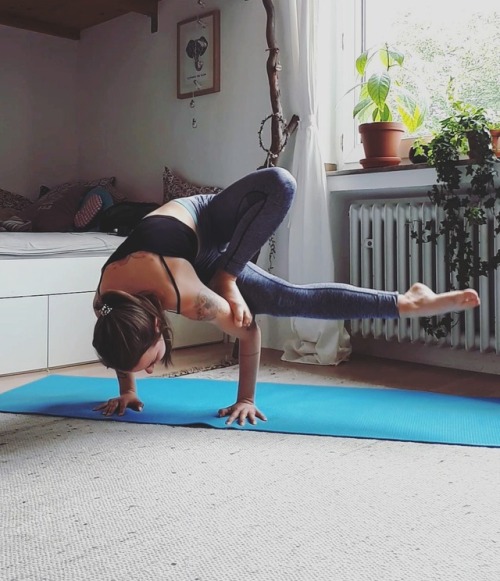 elephantsarevegan: a few impressions from todays yoga session :)