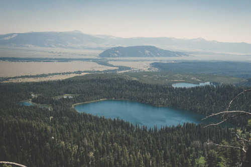 wnderlst:  Summer Journey to Grand Teton National Park      