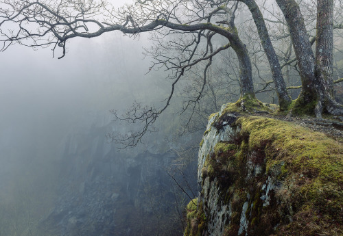 wanderthewood: Looking over the edge of Hodge Close quarry - Cumbria, England by colinbell.photograp