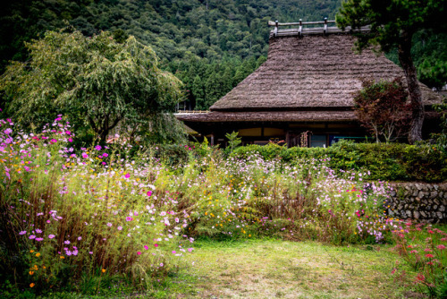 todayintokyo: a-kichi: かやぶきの里の秋彩 Kabuki no Sato in Miyama, Kyoto prefecture 