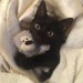 happyheidi:(via)