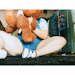 littlestbearx-deactivated201912:Let’s play hide and seek plzzzzzzzz 