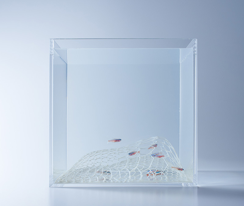 thre3f:  Sculptural Fish Tanks by Haruka Misawa 