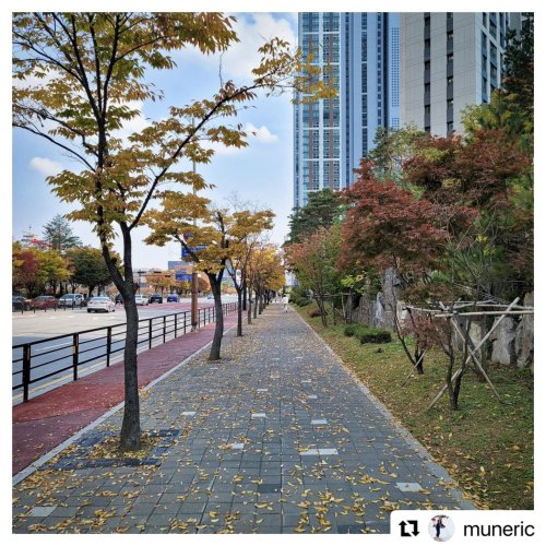 2021.11.07 Shinhwa’s Eric Instagram Update: It’s autumn. Have a happy weekend~ #Hiddencam #Bes