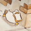 mrpatouwu