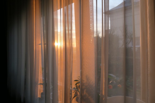 babyspinach:a golden sunrise /// i couldn’t believe my eyes