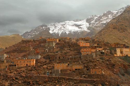 colleenrants:The Berbers are a large and varied ethnic group originating in North Africa. Tribal in 