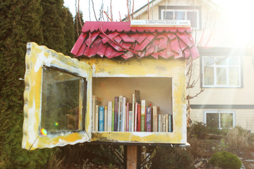 Who else has a Little Free Library in their neighborhood?