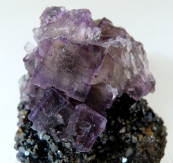 rockon-ro:    FLUORITE (Calcium Fluoride ) and sphalerite crystals from Cave-In-Rock, Illinois, USA.  