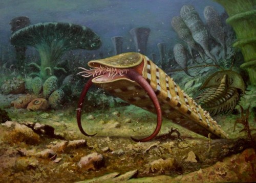 antediluvianechoes: Hyolithes, the Cambrian Soldier, Emiliano Troco Life is easy to claim, to call o