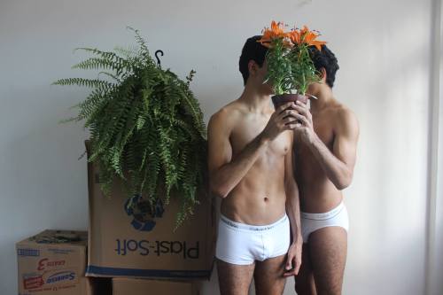 semfoco:  ph: Lauro Justino 