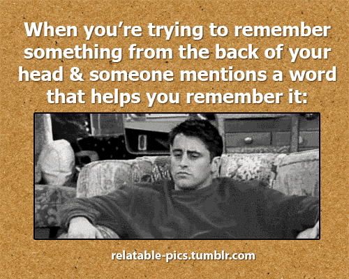 the-absolute-funniest-posts:    