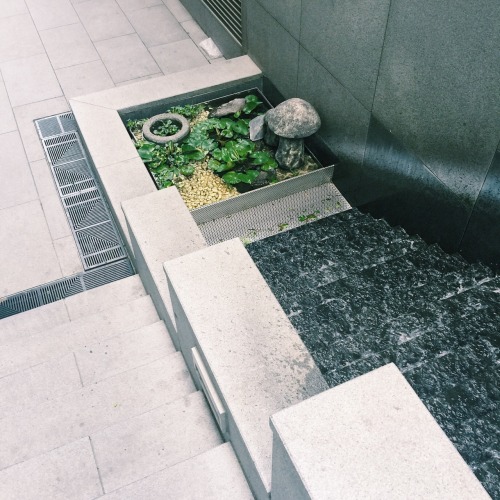 seoul-babo:  ↳ green seoul