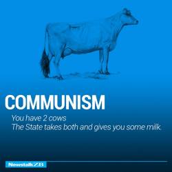 damonramirez:   The world economy explained with just two cows.  