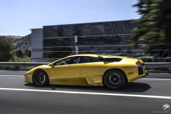 automotivated:  Lamborghini Murcielago on California Hwy. (by I am Ted7)