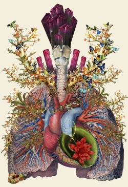 culturenlifestyle:  Stunning Anatomical Collages by Travis Bedel Mixed media artist Travis Bedel composes stunning symbolic collages, which combine anatomical illustrations with a strong fusion of flowers. Representing life and energy in his work, Bedel’s