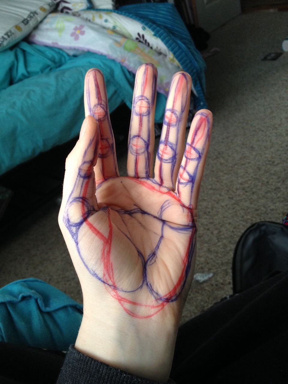 joehillsthrills:  eartheal:  littlez13:  I always struggled drawing hands before