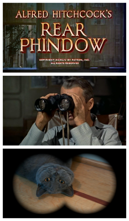 phininthecity:Hitchcock’s Rear Phindow (1954) - IMDb