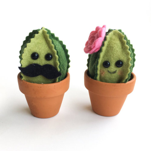 Porn vulpix: sosuperawesome:  Felt Succulents photos