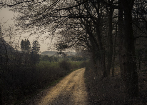 sad-house-of-mortality:1st image - Jerdess - In the Countryside2nd image - Rosie Prosser - whispers