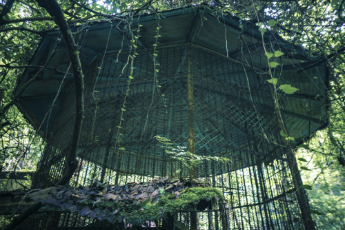 thefrogsapothecary: gitsandshiggles: elugraphy: Abandoned  playground in forest 02. @andreakont