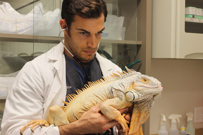 bronzedsugaruk:  emperorcaligulove:  boredpanda:    http://www.boredpanda.com/hottest-vet-pet-doctor-evan-antin-california/