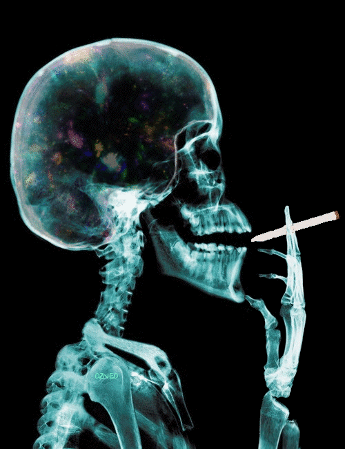 where is my mind?﻿