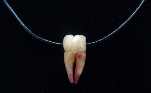 hannah-daisy:  gothicgirlanon:  Etsy (x)  I should probably own this. If anyone has to have a wee toof pulled out and would like to donate it 👋 I have a little collection but no human teeth yet