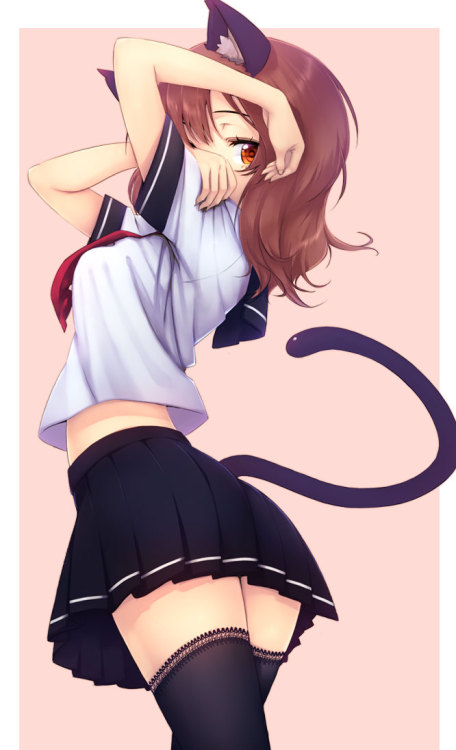 dekoi2501post:  ttie