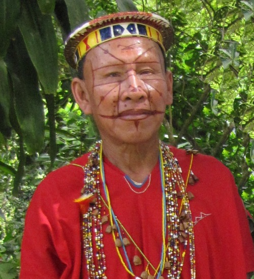 South America (Ecuadorian and Peruanian Amazon) : Secoya people
